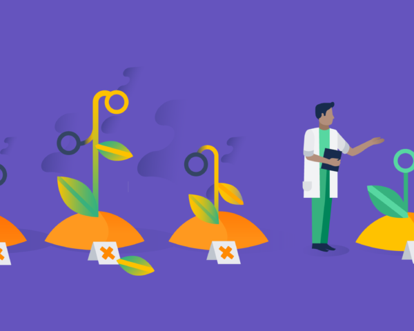 How cognitive biases influence software development