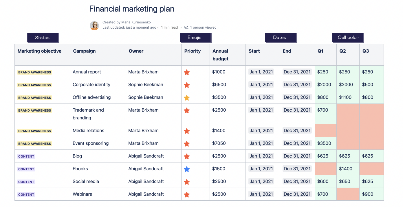 Financial marketing plan example screenshot